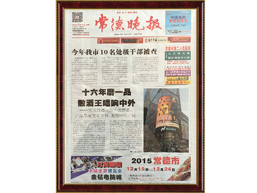 常德晚报宣传图